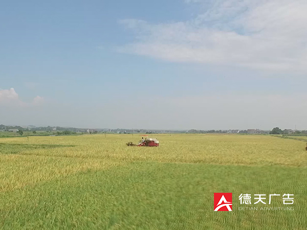 湖南洞庭籼米宣传片