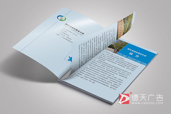 常德市德天广告有限公司,品牌设计,活动策划,影视摄制,广告设备租赁,媒体广告推广,